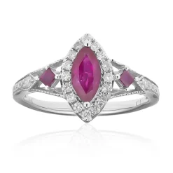 AAA-Mosambik-Rubin-Goldring (CIRARI)