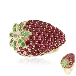 AAA-Mosambik-Rubin-Goldring (CIRARI)