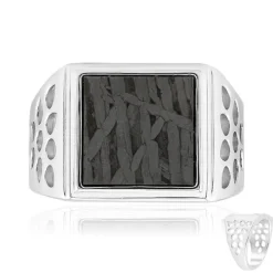 Aletai-Meteorit-Silberring