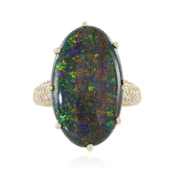 Andamooka-Matrix-Opal-Goldring (AMAYANI)