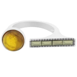 Bernstein-Silberring (TPC)