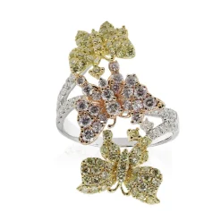 Brillant-Goldring (CIRARI)