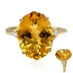 Citrin-Goldring (Smithsonian)