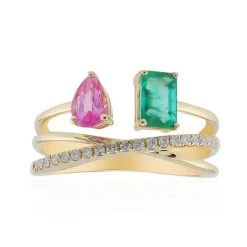 Edelstein-Goldring (CIRARI)