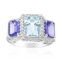 Edelstein-Goldring (CIRARI)