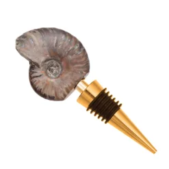 Goniatit-Flaschenverschluss (Lapis Vitalis)