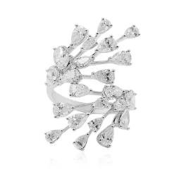 (H) Brillant-Goldring (CIRARI)