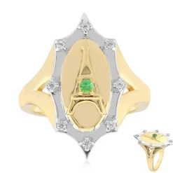 Kenianischer Tsavorit-Silberring (Remy Rotenier)