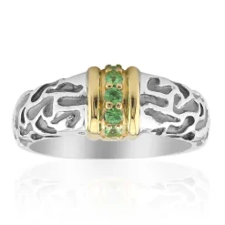 Kenianischer Tsavorit-Silberring (Remy Rotenier)