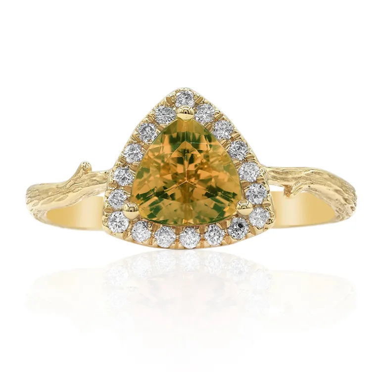 Kongo-Neon-Turmalin-Goldring (Smithsonian)