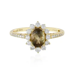 Oregon-Sonnenstein-Goldring (AMAYANI)