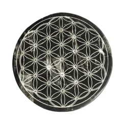 Orthoceras-Deko-Scheibe