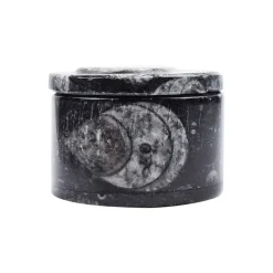 Orthoceras-Schatulle