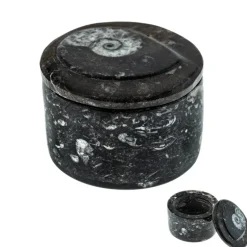 Orthoceras-Schatulle