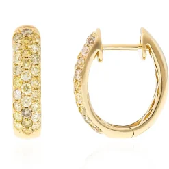 SI2 Fancy-Brillant-Goldohrringe (CIRARI)