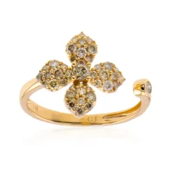 SI2 Fancy-Brillant-Goldring (CIRARI)