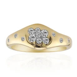 SI1 (G) Brillant-Goldring