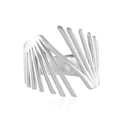 Silberring (de Melo)