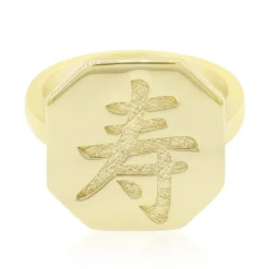 Silberring (Langes Leben)