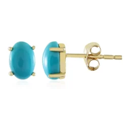 Sleeping Beauty-Türkis-Goldohrringe