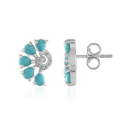 Sleeping Beauty-Türkis-Silberohrringe