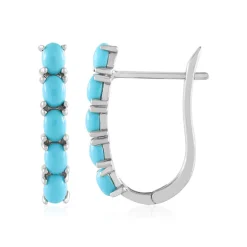 Sleeping Beauty-Türkis-Silberohrringe