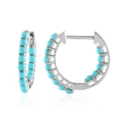 Sleeping Beauty-Türkis-Silberohrringe