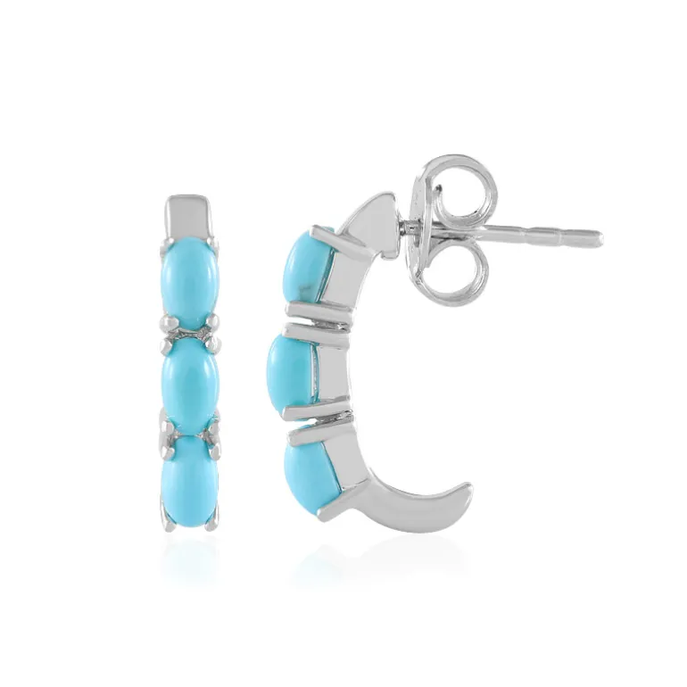 Sleeping Beauty-Türkis-Silberohrringe