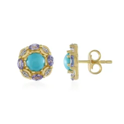 Sleeping Beauty-Türkis-Silberohrringe