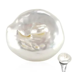 Süßwasserzuchtperlen-Silberring (TPC)