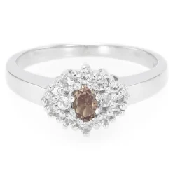 Tansania-Farbwechsel-Granat-Silberring