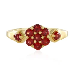 Tansania-Rubin-Silberring (Adela Silber)