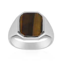 Tigerauge-Herren-Silberring