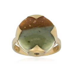 Versteinertes Holz-Silberring (Bali Barong)