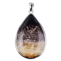 Versteinertes Palmenholz-Silberanhänger