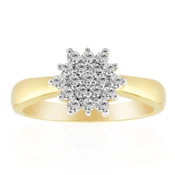 VVS1 (G) Brillant-Goldring